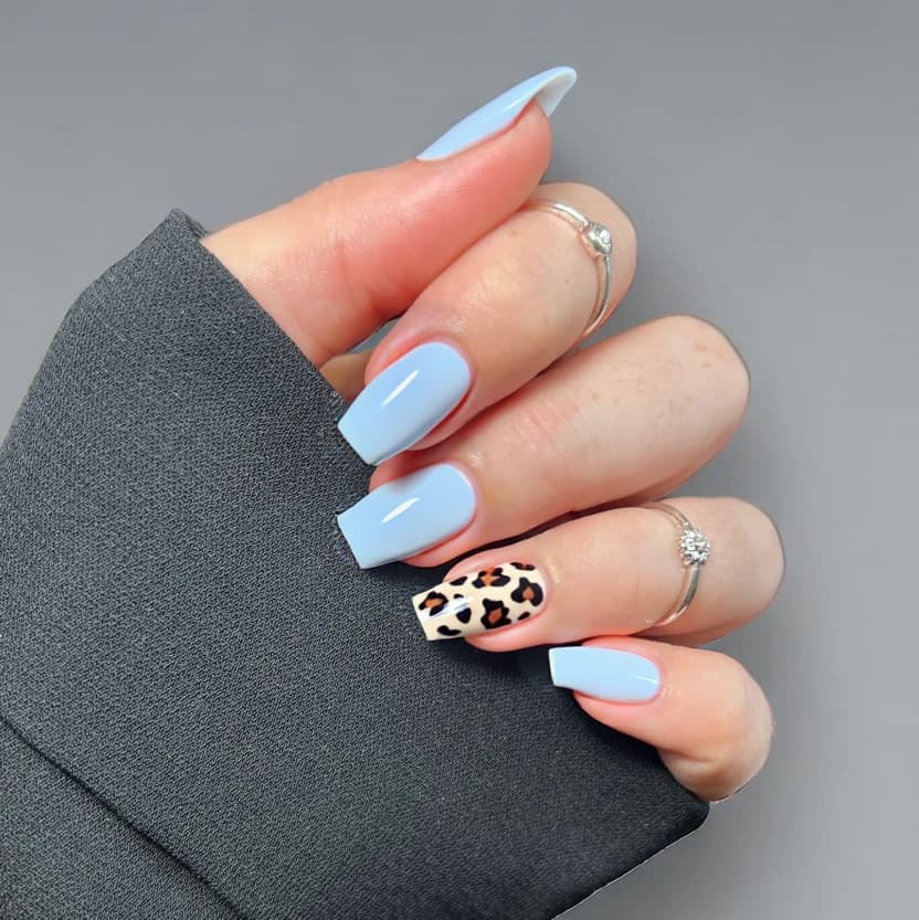 Nails painted in a soft, baby blue that exudes a gentle elegance, with three of the nails maintaining a solid, smooth finish. The fourth nail features a delicate leopard print design as a French tip, where the classic animal print elegantly fades from the tip down to the mid-nail. This design is perfectly balanced to emphasize the almond shape, with the print kept minimal and refined to ensure it aligns with the overall feminine aesthetic. A glossy finish on all nails enhances the subtle charm of the color palette, making the short almond nails look chic and polished.